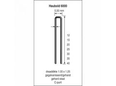 Haubold Befestigung 503202 KL6035 CRVS nicht 6000 Serie 35 mm Länge 5000 Stück